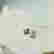 item-131367208=5