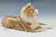 item-131367215=2