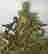 item-131367317=2