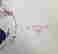 item-131367363=2