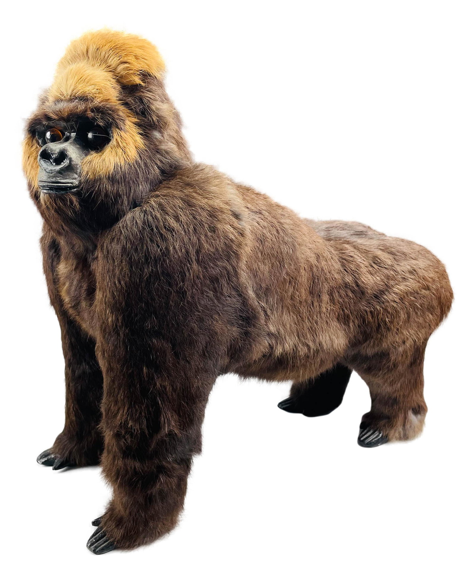 Real Rabbit Fur Ape Gorilla Taxidermy Sculpture: Realistic looking anatomically correct stuffed taxidermy Gorilla Ape Monkey sculpture. Nice details from his face, ears and hands and feet. Measures 17" x 18 1/4". Signed ~ gold foil on the foot reads