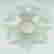 item-131367403=4