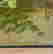 item-133251297=3