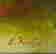 item-133251298=3