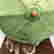 item-133251323=6
