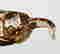 item-133251604=8