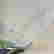 item-133251613=5