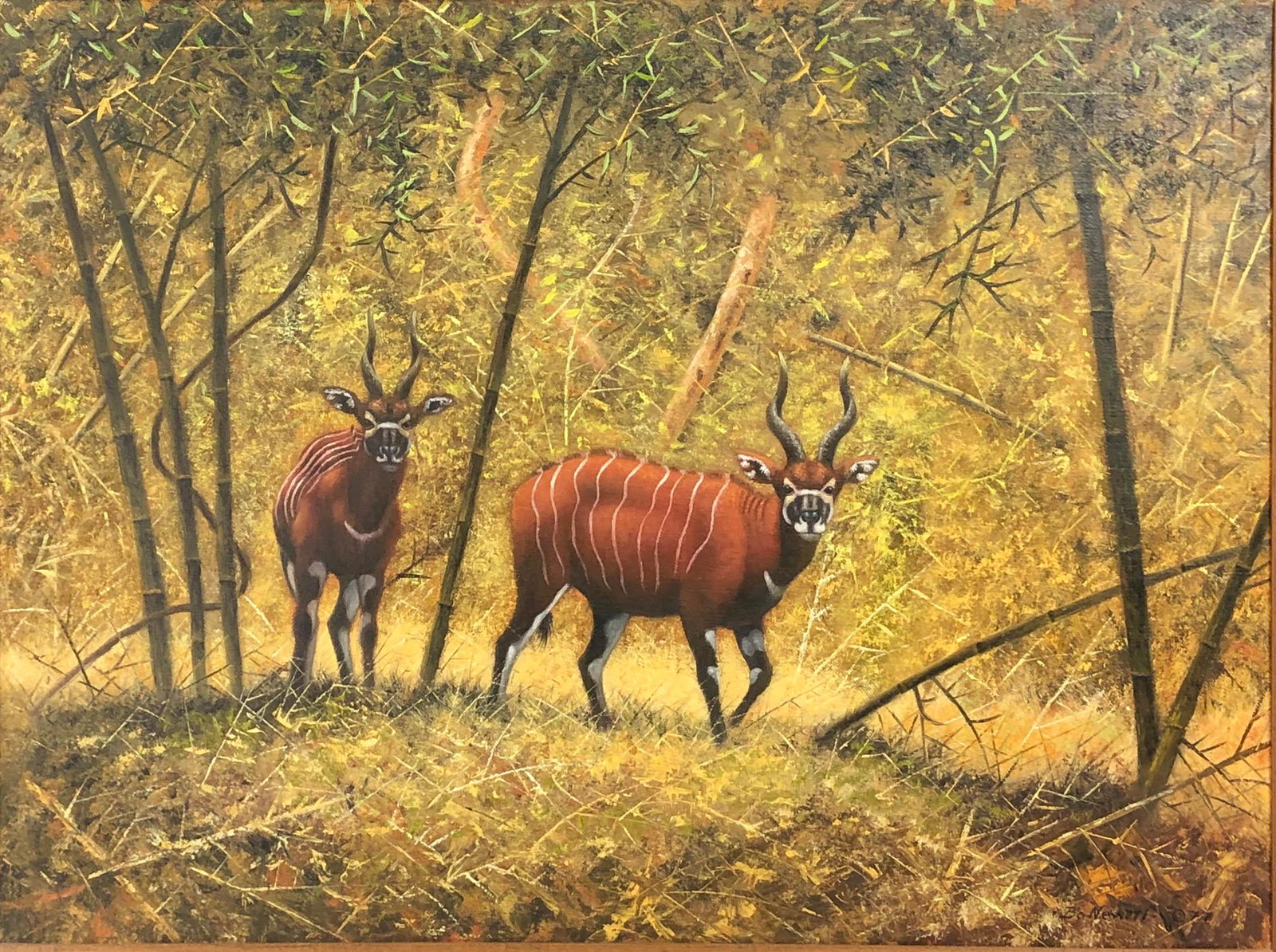 Bo Newell b.1952 African Bongo Deer Oil Painting: Bo Newell (American, born 1952) Oil painting on canvas. Titled "Bongos", featuring realist view of two wild Bongo, walking through the bush. Signed and dated 1977, lower right. Presented in wood frame