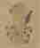item-136992642=2