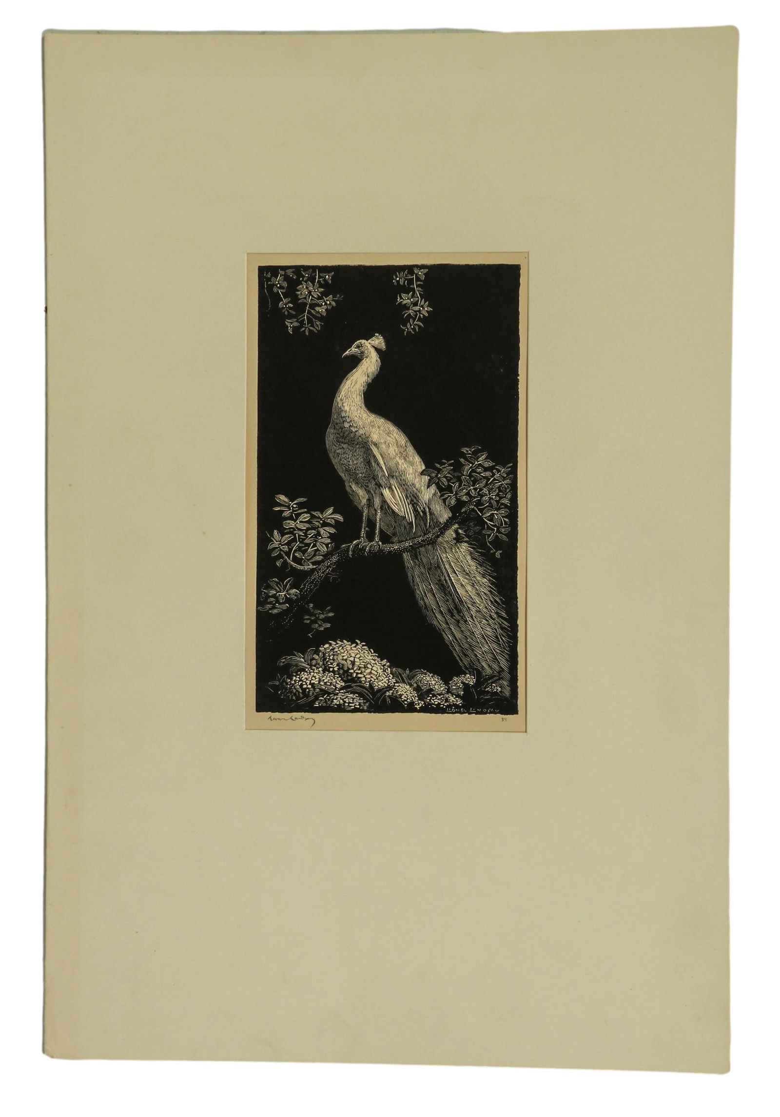 Lionel Arthur Lindsay 1874-1961 Engraving SIGNED (1 of 5)