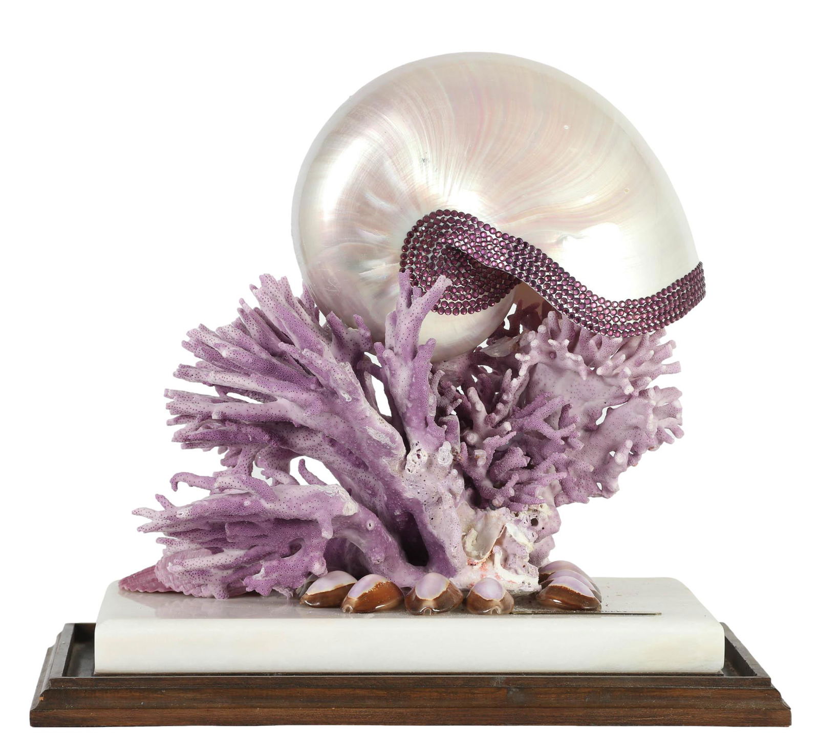 Marilyn Tolley 20C Sea Shell Coral Art Sculpture (1 of 5)