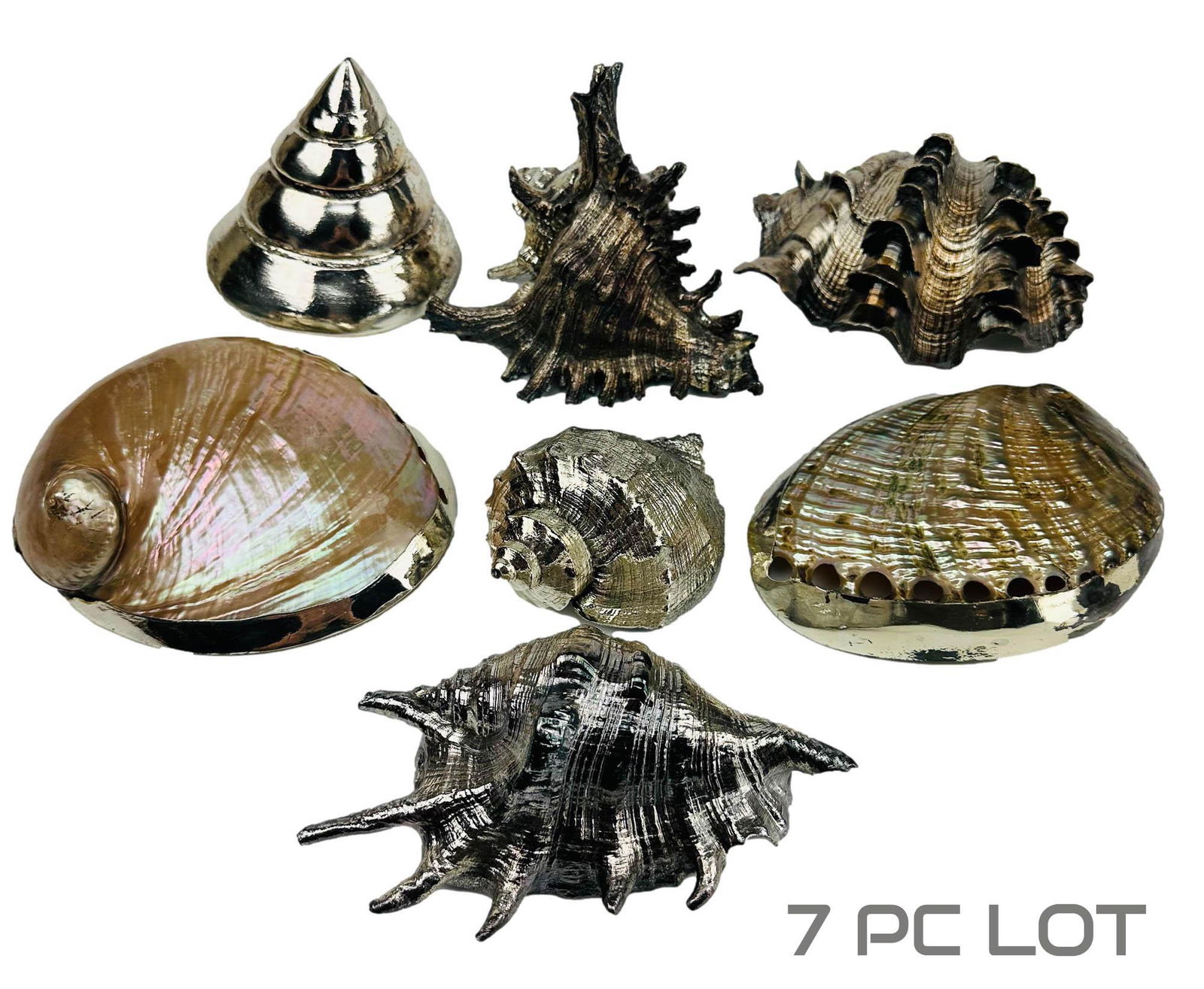 Sterling Silver 925 Overlay Natural Sea Shell 7pc (1 of 7)