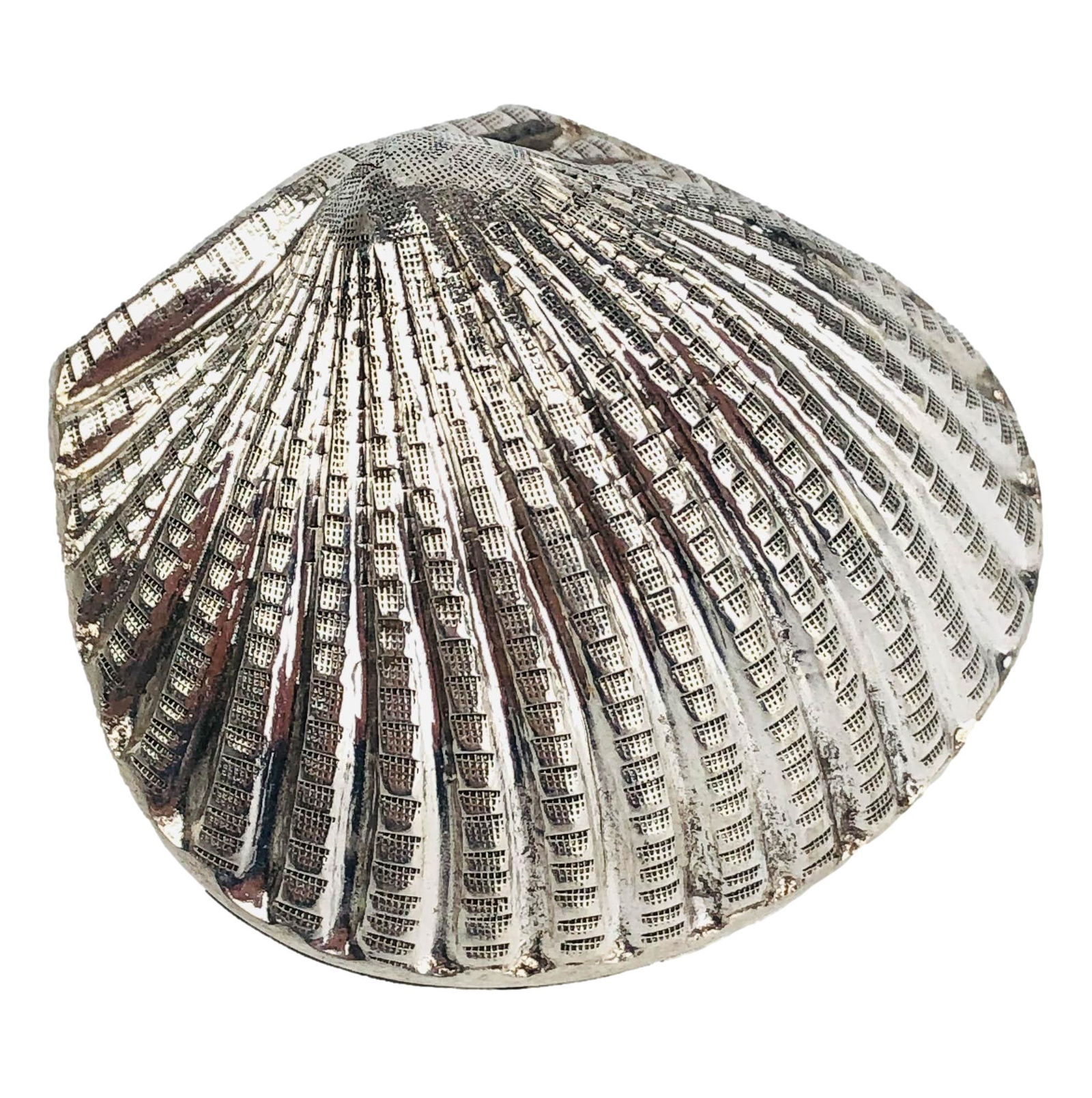 900 Silver Clam Shell Trinket Jewelry Storage Box (1 of 6)