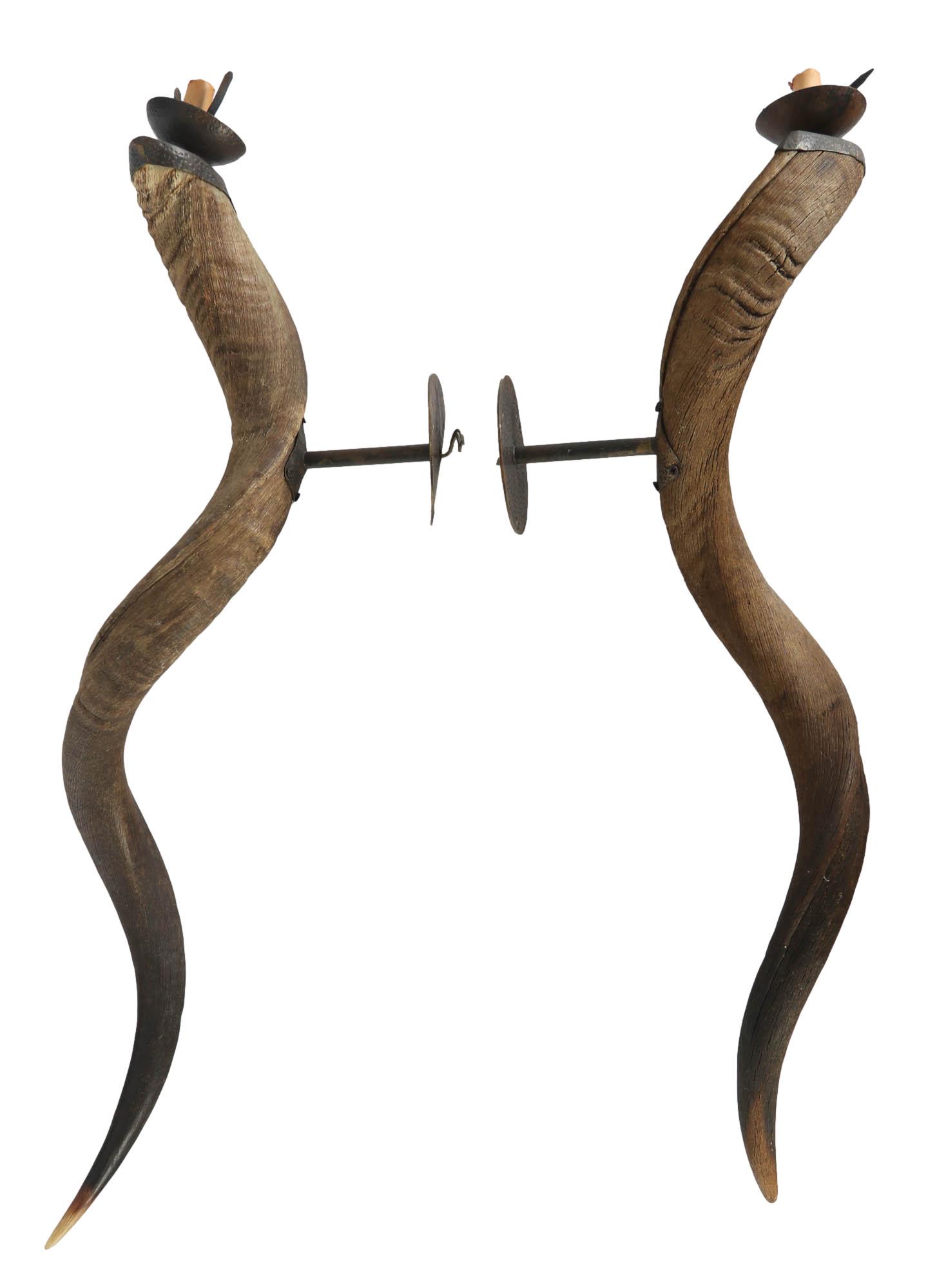 Kudu Antelope Antler Electrified Pair Candelabras (1 of 5)