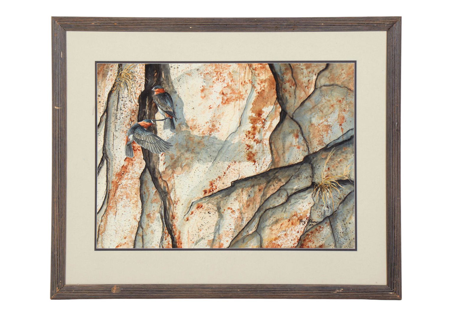 Ray Shaw b1958 Bird Wildlife Watercolor Painting (1 of 4)