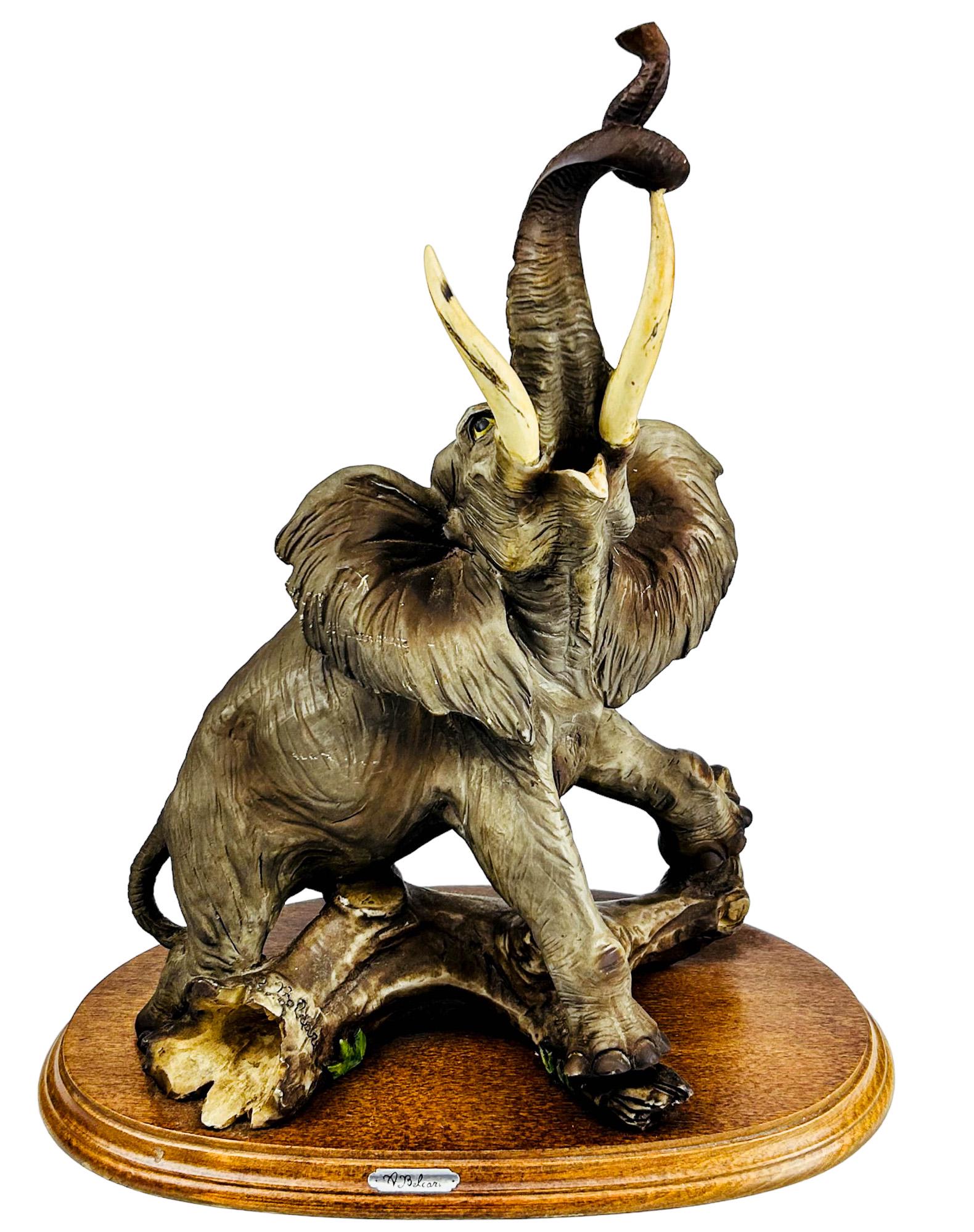 Auro Belcari Capodimonte Italy Elephant Sculpture: Auro Belcari ( 20th Century, Tuscany, Italy ). This African Safari wildlife nature inspired figurine features this large land mammal with raised trunk up. Mounted stop an oval dark colored stepped woo
