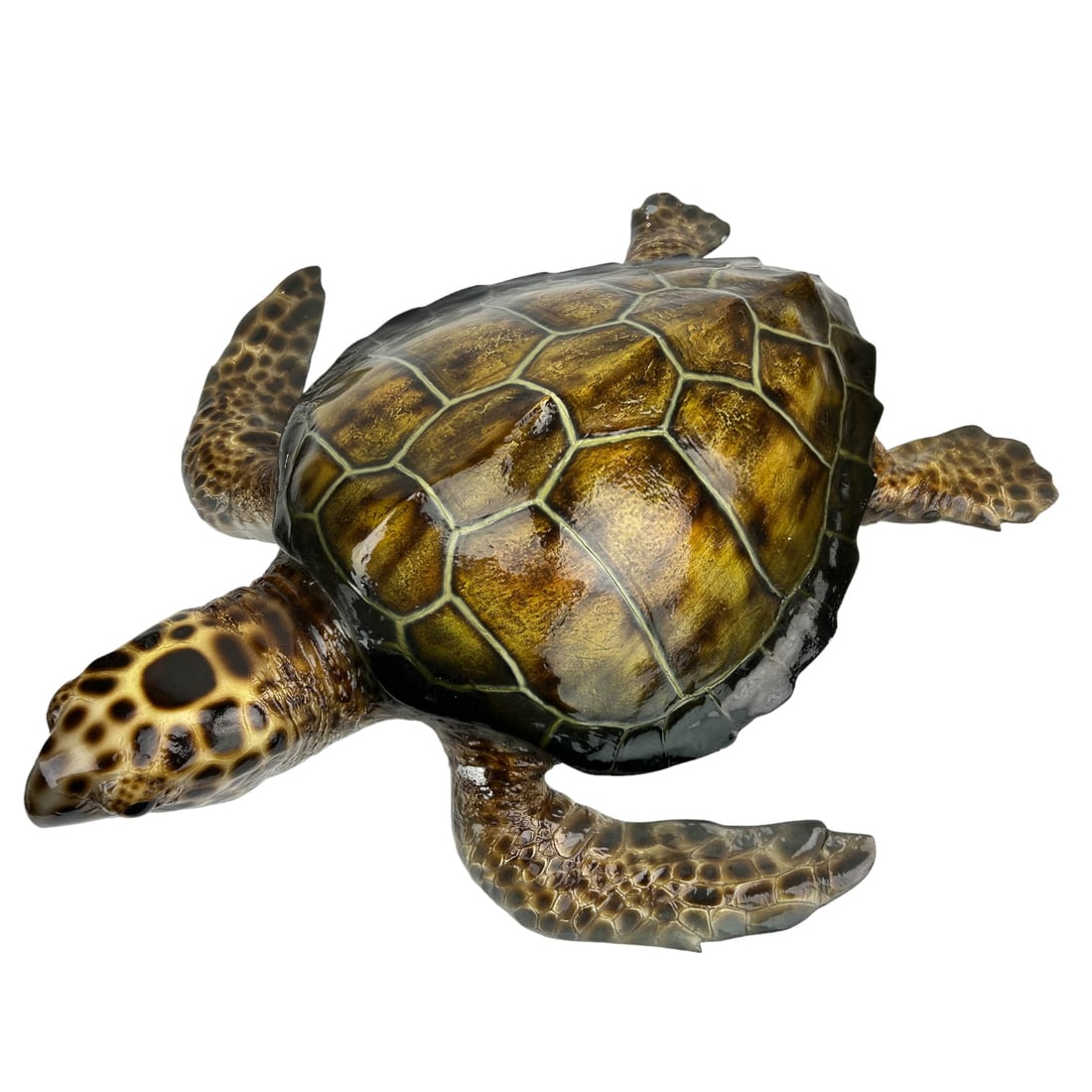 Life Like Faux Loggerhead Full Mount Sea Turtle (1 of 8)