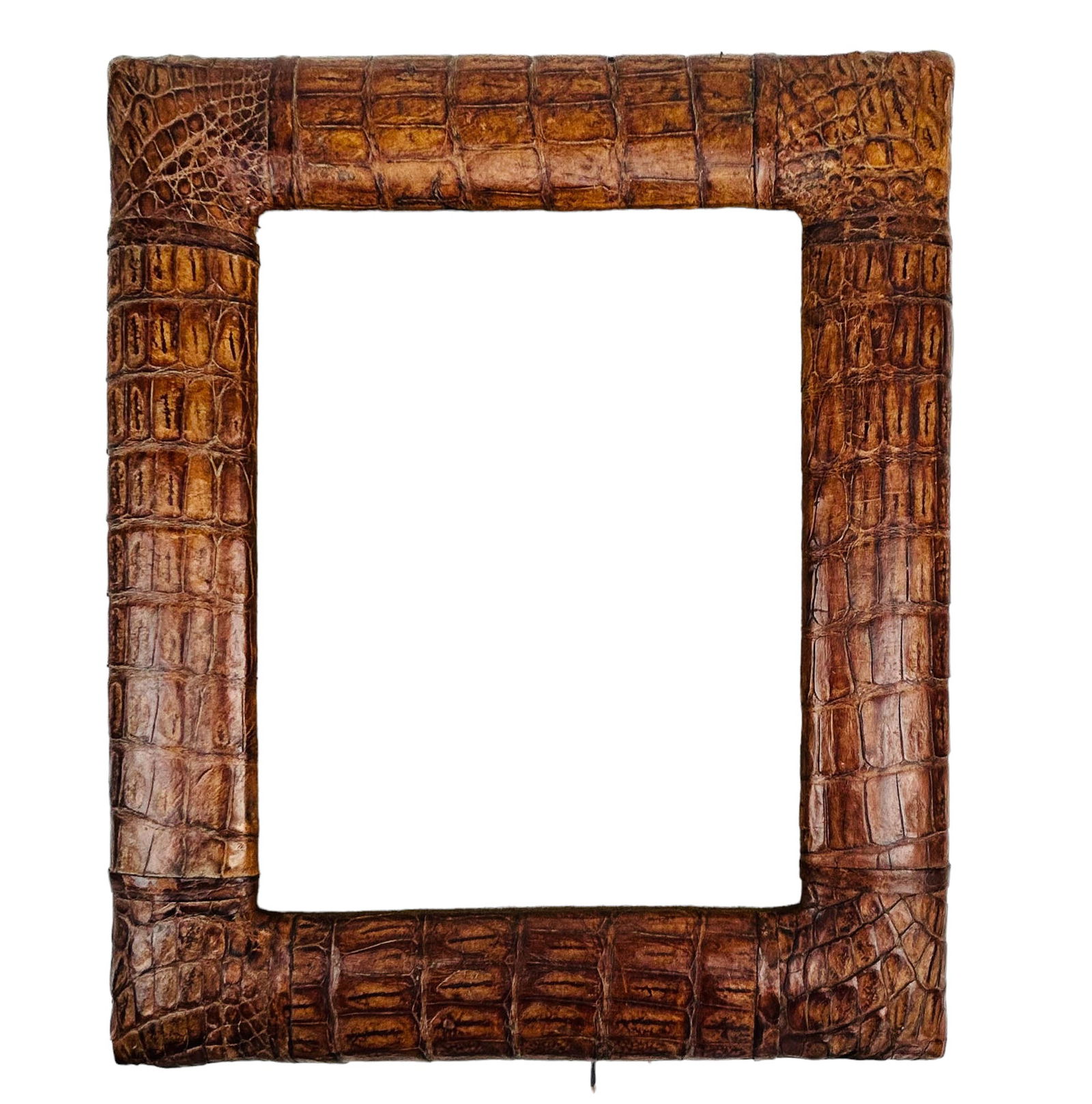 Reptile Alligator Croc Leather Skin Picture Frame (1 of 4)