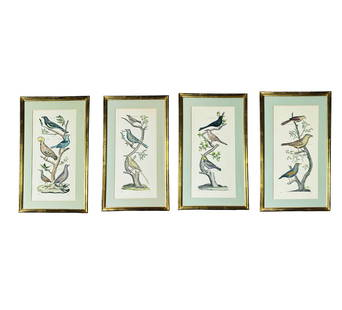 French Ornithology Gilt Framed Lithographs 4pc LOT: Denis Diderot (French, 1713-1784). Grouping of four (4) bird themed lithographs. Each bordered lithograph contains a series of birds with scientific names added. Stamped D. Diderot in lower left corne