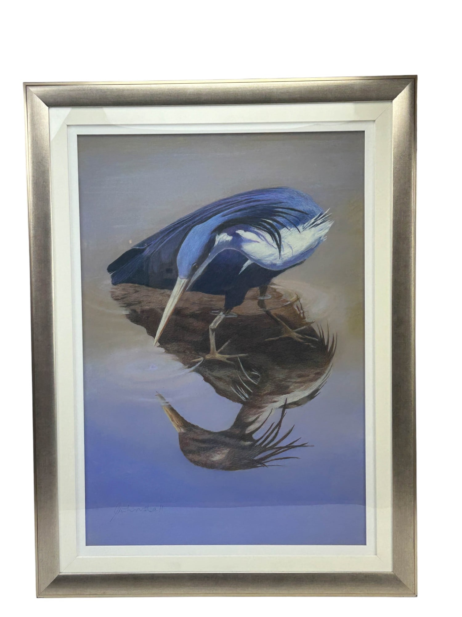 Pete Marshall 20C Blue Heron Color Pencil Drawing: Pete Marshall (20th Century, Australian ) Colored Pencil Drawing on Paper. This wildlife themed subject matter depicts a Great Blue Heron bird fishing for its meal. Signed ~ lower left corner. Verso w