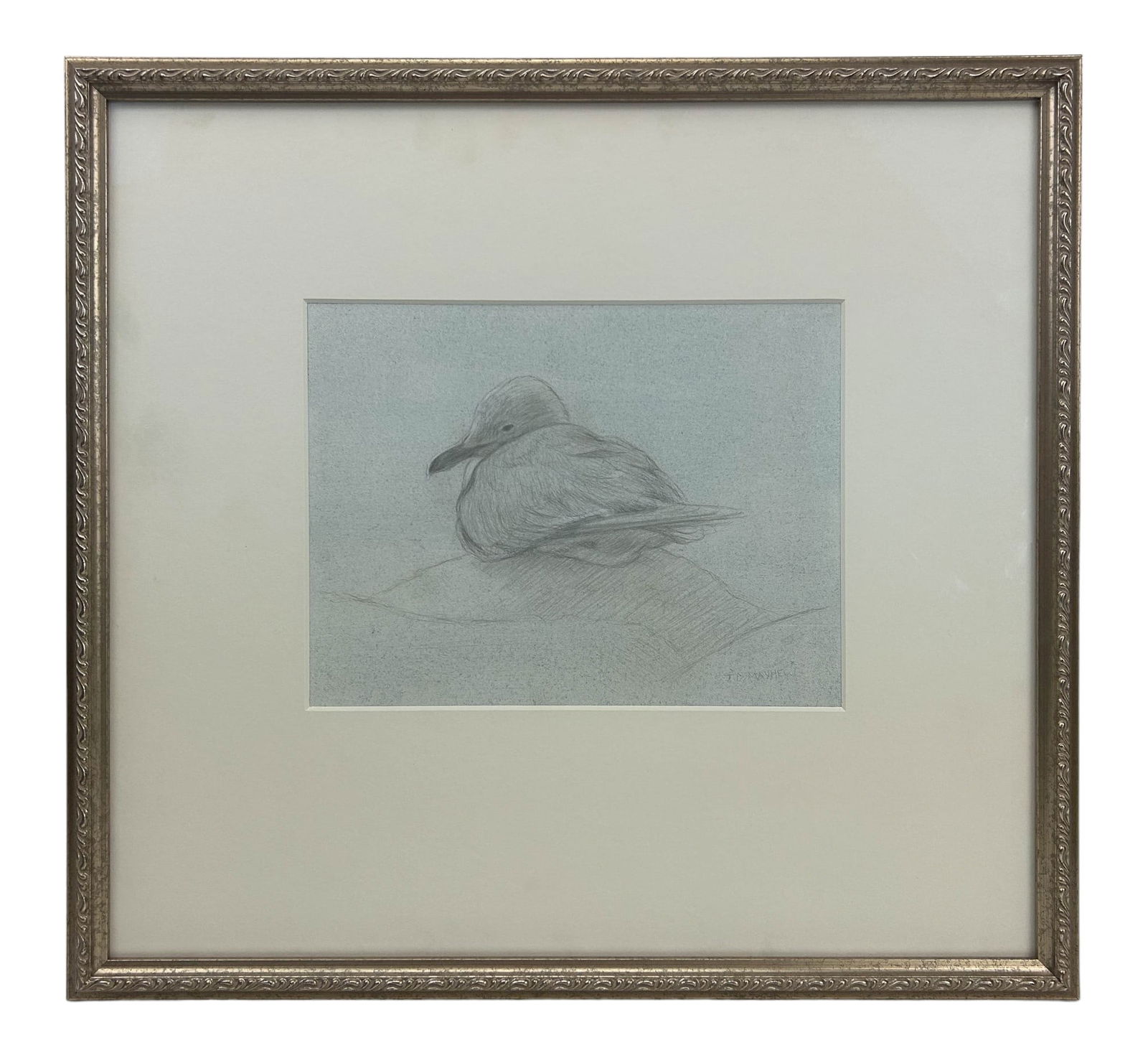 Timothy David Mayhew b.1952 Seagull Pencil Drawing (1 of 6)