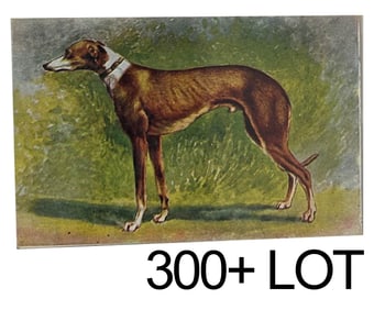 Boxers Animated Cats Dogs Greetings Postcard LOT