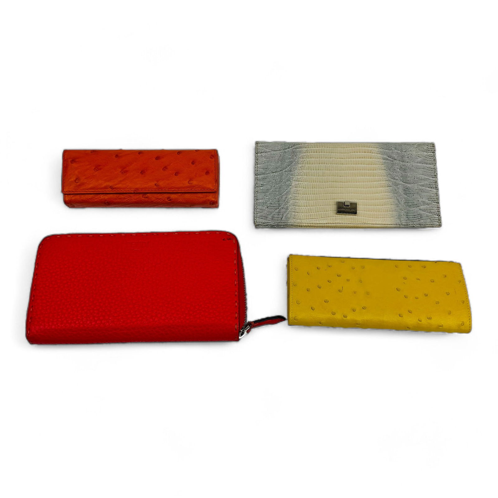 Fendi Friedrich's Ferragamo Ostrich Skin Case 4pc (1 of 10)