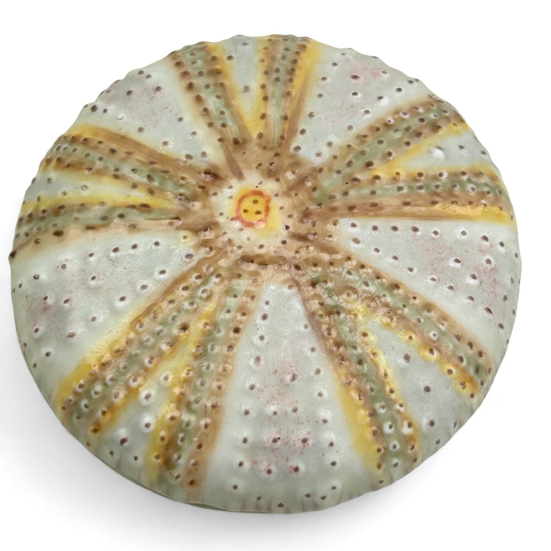 Fabienne Jouvin Pottery Sand Dollar Jewelry Box (1 of 4)