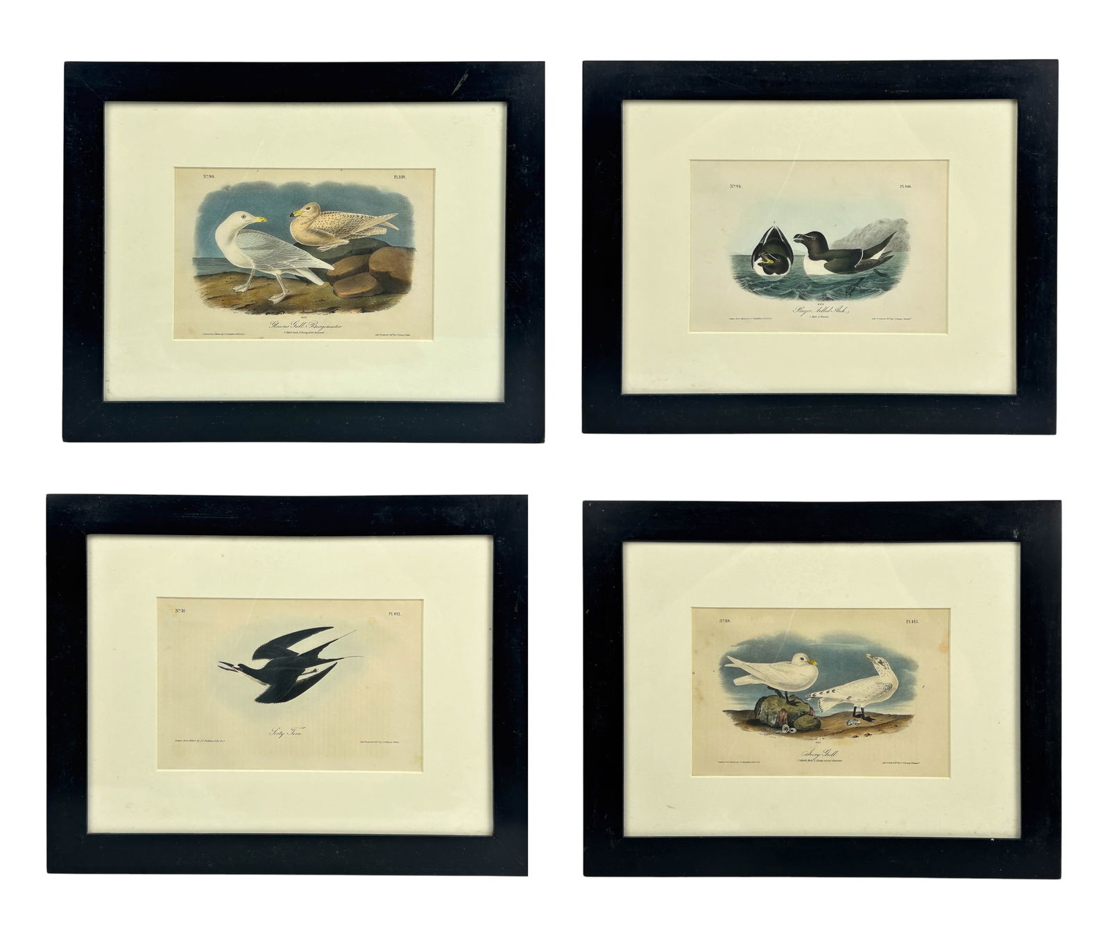 John Audubon 1785-1851 Color Lithographs Set of 4 (1 of 5)