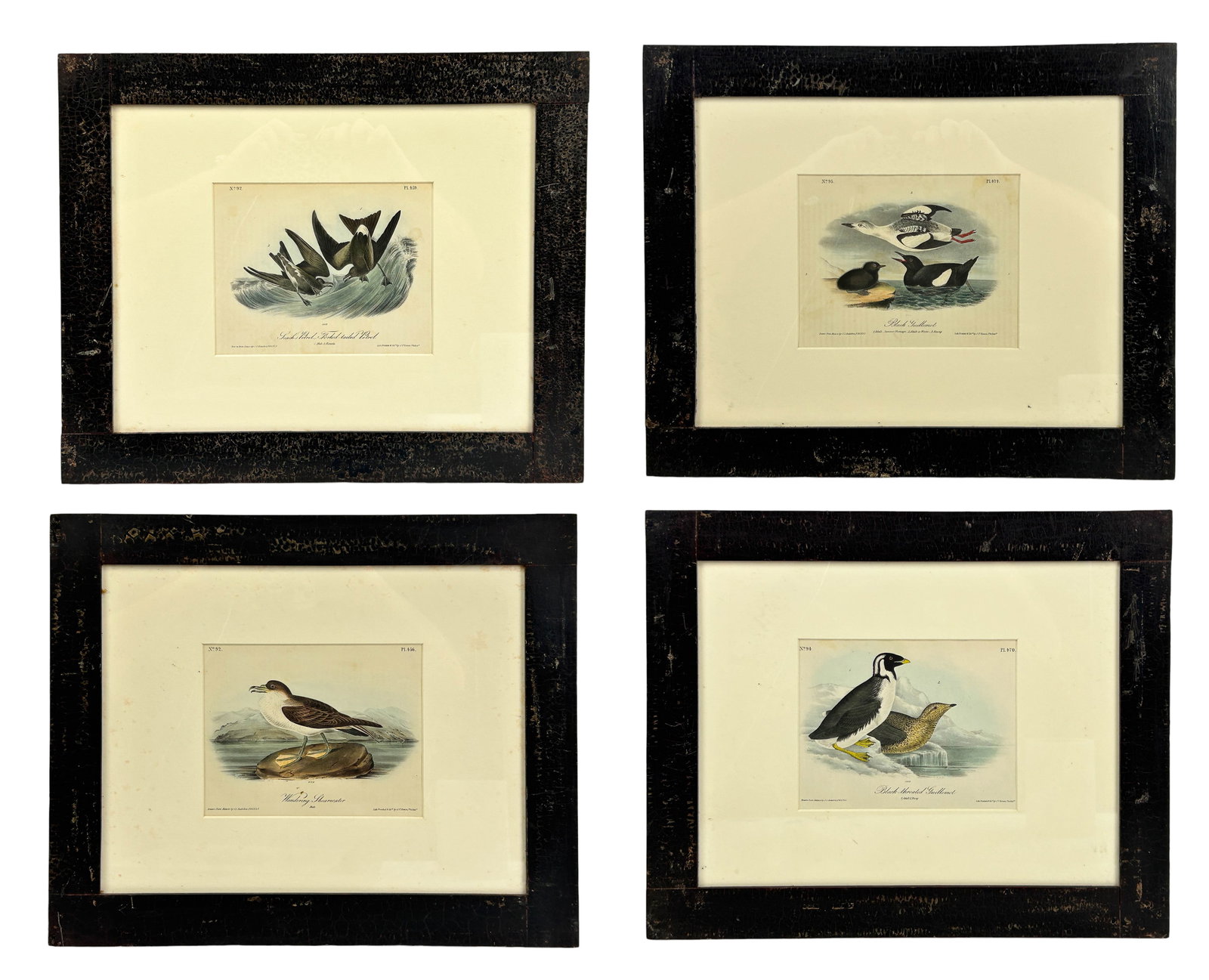 John Audubon 1785-1851 Color Lithographs Set of 4 (1 of 9)