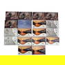 Lot 18 United States $1 Coin & Mint Proof Sets