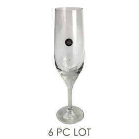 Rosenthal Iris Frosted Stem Champagne Flutes Set 6