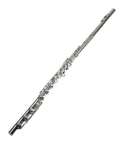 Gemeinhardt 3SB Solid Silver Flute Instrument Case