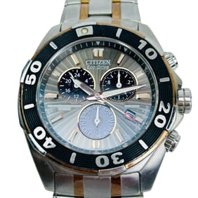 Citizen Eco Drive Perpetual Calendar E820-S074843