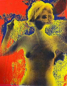 Bert Stern Serigraphic Prints Marilyn Monroe Book