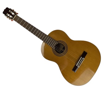 Alvarez MC90 Classical Guitar with Pro-Lok Case