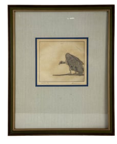 Stanley Gardiner Bird of Prey Black White Etching