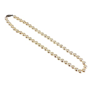 Saltwater Akoya Pearl Strand Necklace w/ 14K Clasp