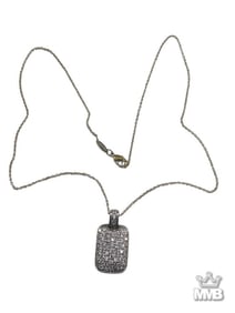 Tiffany & Co Sterling Chain & GWE Pendant
