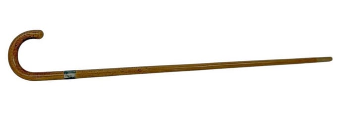 University of Pennsylvania 1947 Walking Cane