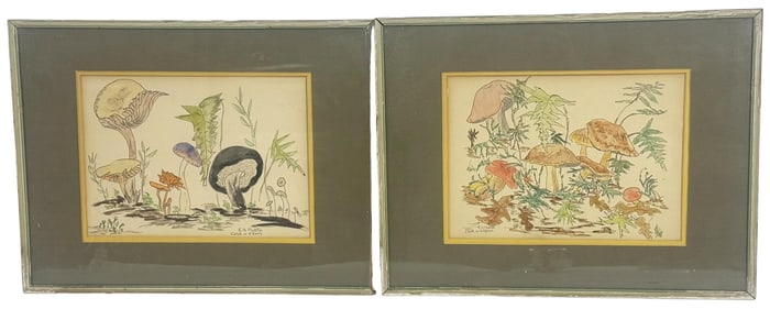 E.A. Morton Mushroom Drawings Colored by H. Kayes