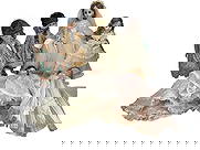 Madame Alexander & Others Dolls 7pc LOT: Group of seven vintage dolls, including Madame Alexander examples, in assorted period outfits with original clothing. The largest measures approximately 17 inches tall by 10 inches wide.Condition: