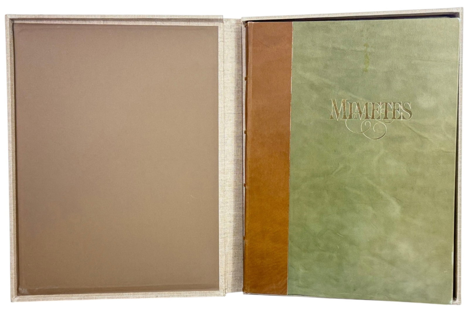 Mimetes Botanical Book 1982 Rourke Lincoln 26" H: Large-format Mimetes: An Illustrated Account of Mimetes Salisbury and Orothamnus Pappe by John Patrick Rourke, illustrated by Thalia Lincoln. Published by Tiyan Publishers, Cape Town, October 1982. Ha