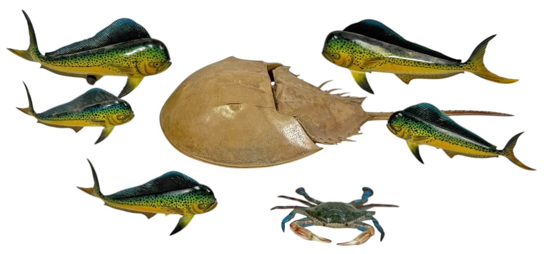Mahi Fish & Crab Decor w/ Horseshoe Crab Specimen: Mixed group of coastal themed decorative items including five mahi mahi fish figures, a horseshoe crab shell specimen, and a crab figure. The fish display bright green yellow coloring with spotted det