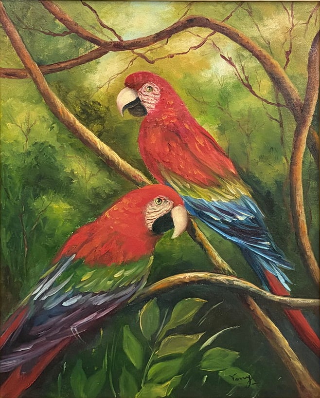 VTG Macaw Birds Oil Painting on Masonite SIGNED: Oil painting on masonite of two red macaws perched in a tropical setting, vibrant colors, signed to the lower 'Tony,' dated and inscribed verso, in decorative frame. Work Size: 19.5 x 15.25 in. Dimens