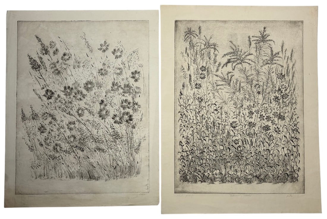 Zella de Milhau, American b.1870 Engravings 2pcs: Pair of black and white botanical engravings by Zella de Milhau (American, 1870-1954), depicting flowering meadow and weed studies. One titled 'Blooming Weeds,' both pencil signed and marked artist pr