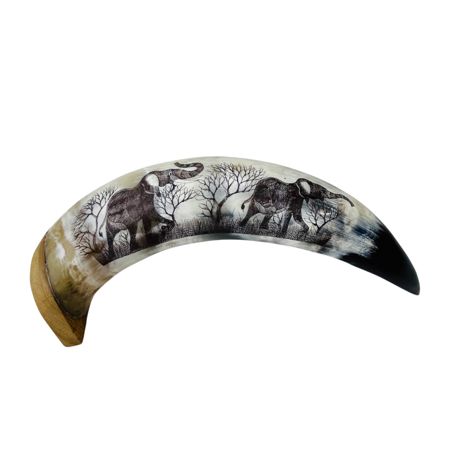 Water Buffalo Scrimshaw Style Etched Safari Scene (1 of 4)