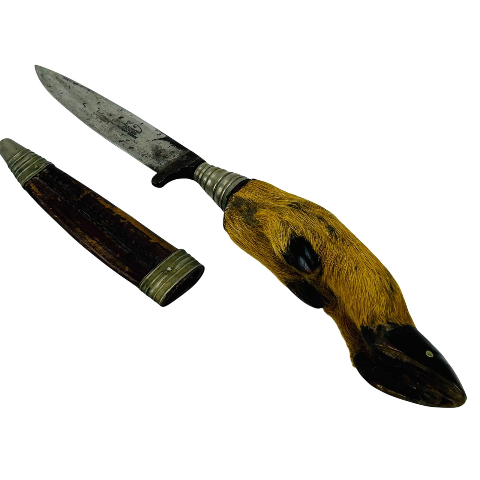 Clauberg Stag Hoof Handle Letter Opener w/ Sheath: German desk accessory fixed stainless steel blade, stag hoof handle, and leather covered sheath with metal mounts. Curved naturalistic handle with hoof form terminal and exposed hair finish. Stamped C