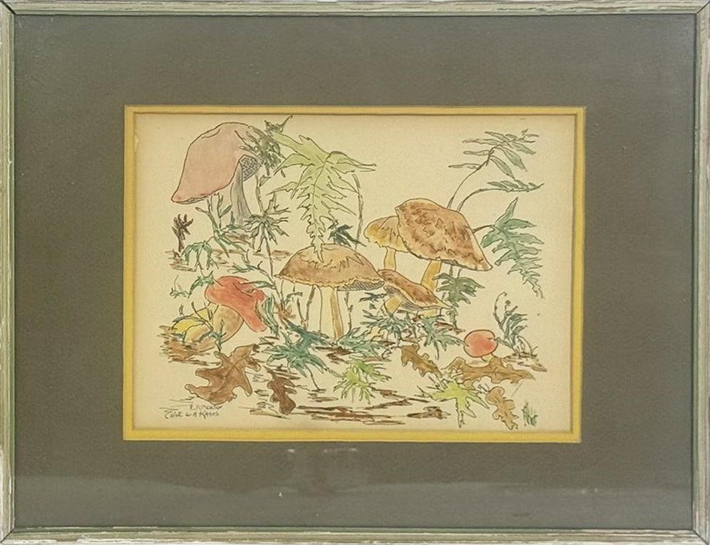 E.A. Morton Mushroom Drawing Colored by H. Kayes (1 of 6)
