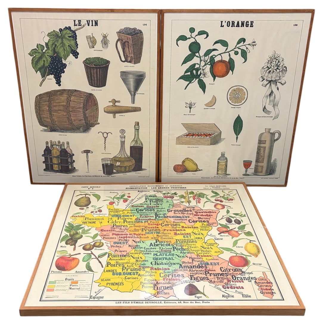 French Educational Charts, Prints & Maps 3pc LOT (1 of 7)
